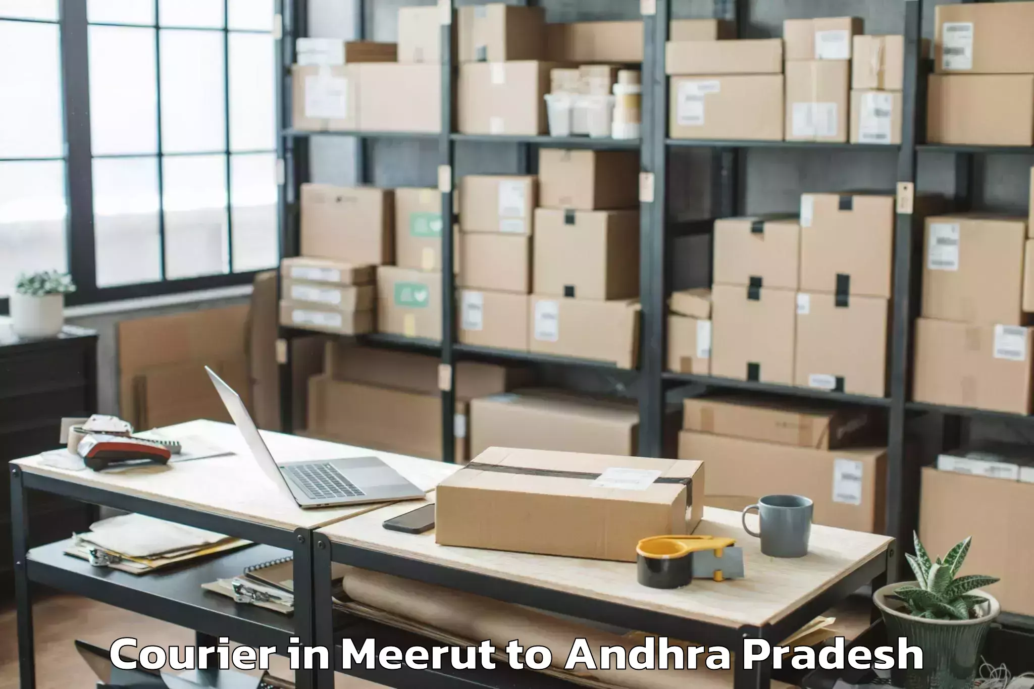 Book Meerut to Rolugunta Courier Online